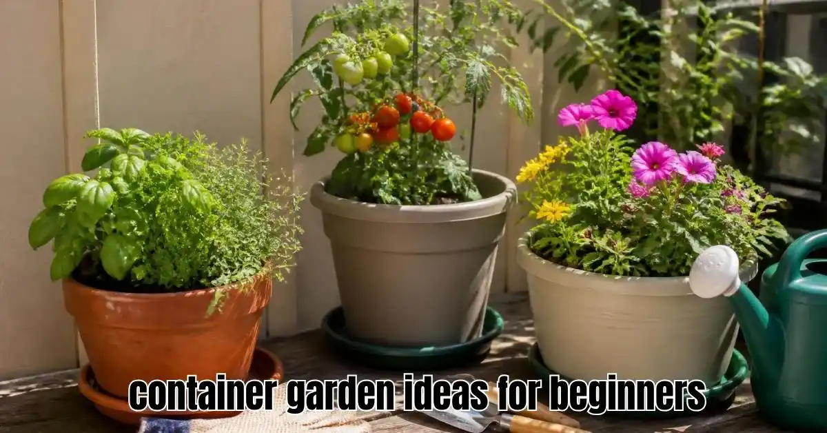 Container Garden Ideas for Beginners